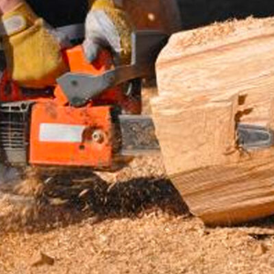 Tree removal services – benefits, costs and more