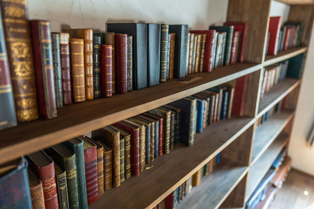 Library Science – Degrees, Cost, and Job Opportunities