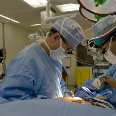 Gastric Sleeve Surgery – Procedure, Benefits, and Cost